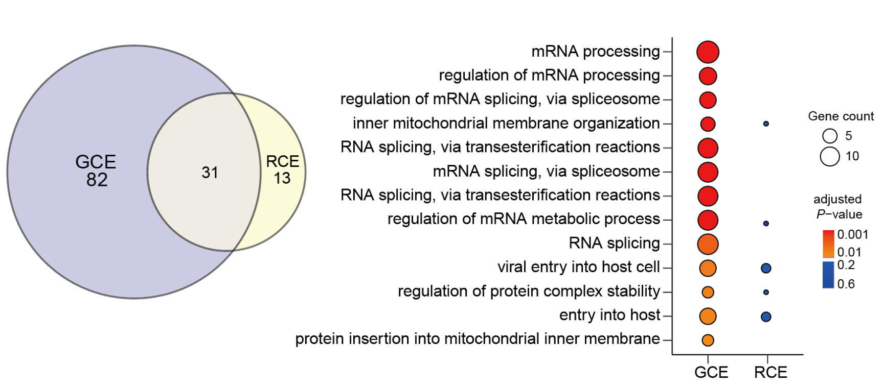 图示AI 生成的内容可能不正确。