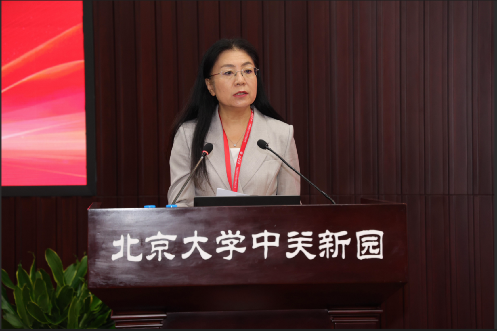 人站在电视前描述已自动生成