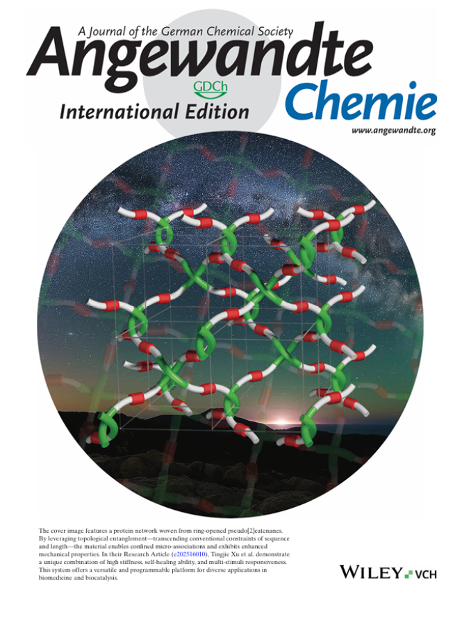 C:\Users\Wen-Bin Zhang\xwechat_files\Wenbin154678_624d\temp\InputTemp\1d9beb32-e253-44ca-8a29-ae943f547ba9.png