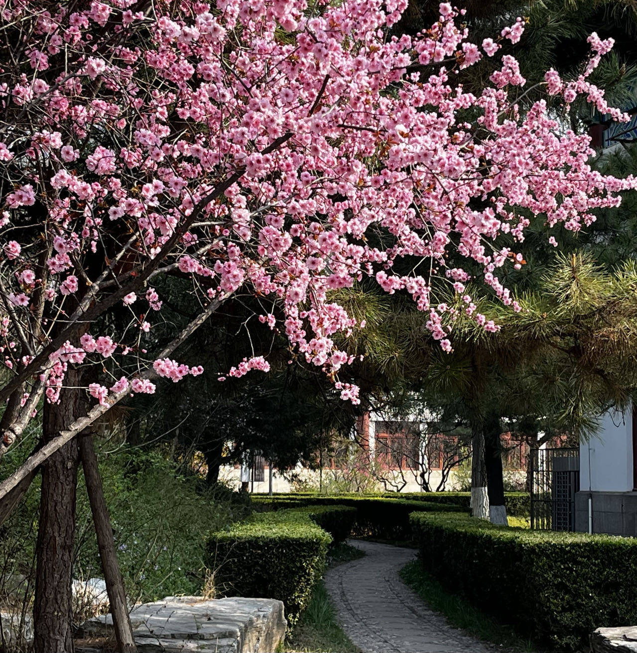 79f688cf15024ac28d5e46249f8bab1a.jpg Road.jpg