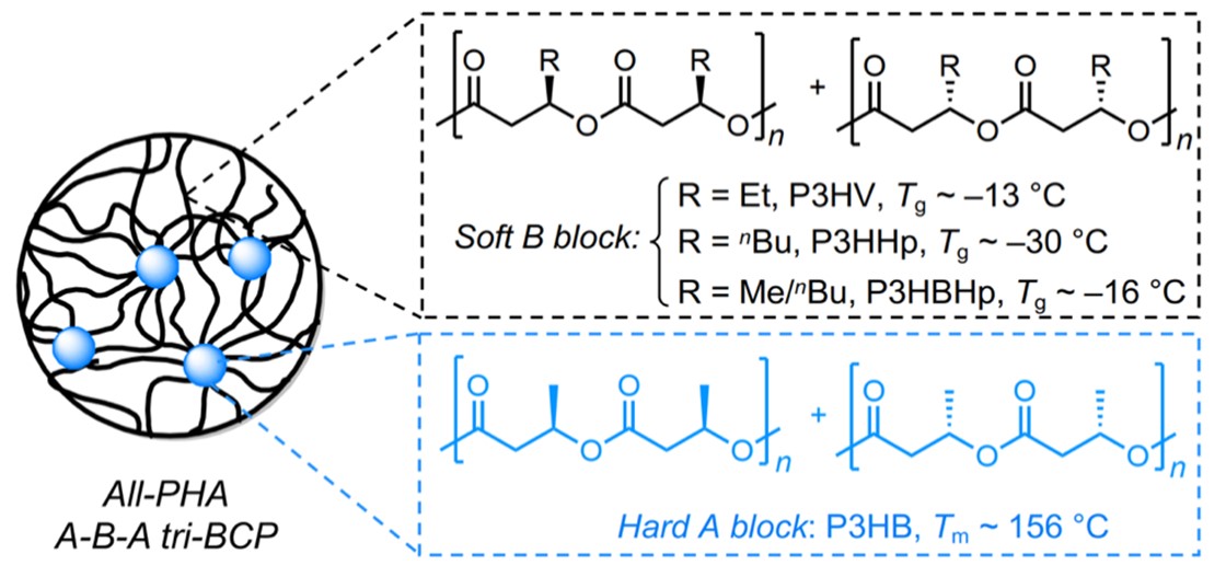 728a81489c3e47b68af7da2922d5bf31.jpg 728a81489c3e47b68af7da2922d5bf31.jpg