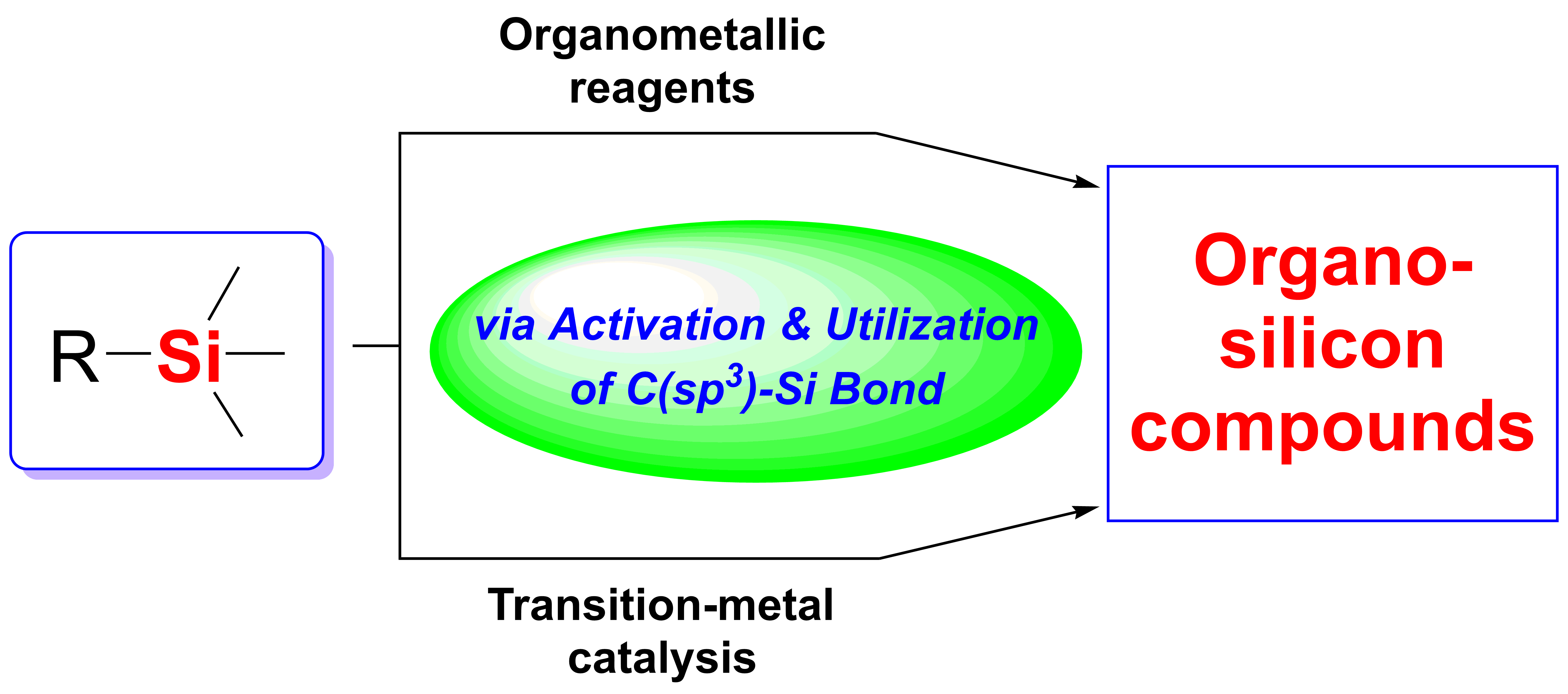 /xizf/revised/en/news/